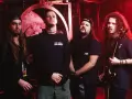 Les membres de Pantera, groupe légendaire, posent pour une photo. Leurs albums ont marqué l'histoire du metal.