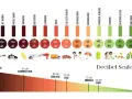 Échelle des décibels : une conversation (60 dB) est plus forte qu'une pluie modérée (40 dB), mais plus faible qu'un camion (80 dB).
