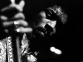 Gros plan en noir et blanc de Jimi Hendrix jouant de la guitare, évoquant l'esprit de ses albums légendaires.
