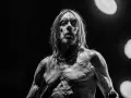 Iggy Pop, le parrain du punk, torse nu et chaîné, sous les feux de la rampe. Un portrait saisissant du groupe Iggy Pop.