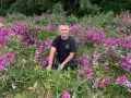 Un homme est assis au milieu d'un champ de fleurs roses et violettes, avec des arbres en arrière-plan. Il semble se trouver sur le mont Eerie.