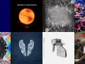 Collage des pochettes des albums de Coldplay : Parachutes, Everyday Life, Mylo Xyloto, A Rush of Blood to the Head, Ghost Stories, Music of the Spheres, Viva la Vida.
