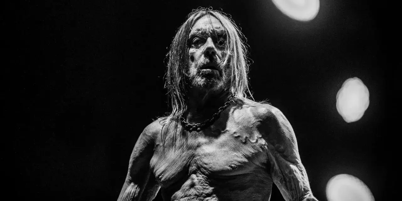 Iggy Pop, le parrain du punk, torse nu et chaîné, sous les feux de la rampe. Un portrait saisissant du groupe Iggy Pop.
