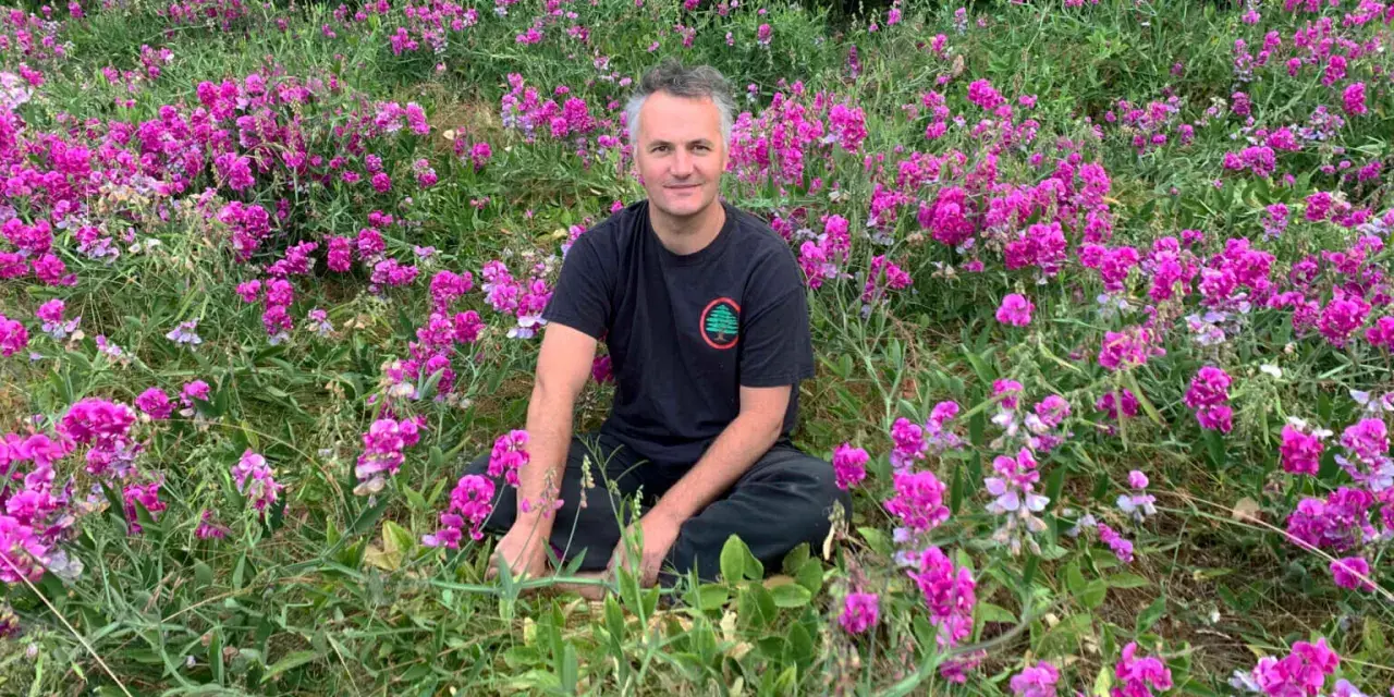 Un homme est assis au milieu d'un champ de fleurs roses et violettes, avec des arbres en arrière-plan. Il semble se trouver sur le mont Eerie.