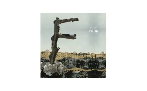 Pochette de l'album "Metals" de Feist, avec une femme allongée sur une branche en forme de F.