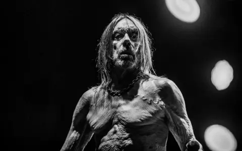 Iggy Pop, le parrain du punk, torse nu et chaîné, sous les feux de la rampe. Un portrait saisissant du groupe Iggy Pop.