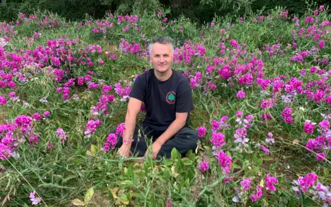 Un homme est assis au milieu d'un champ de fleurs roses et violettes, avec des arbres en arrière-plan. Il semble se trouver sur le mont Eerie.