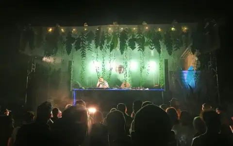 Une dj femme française enflamme la foule sous une décoration jungle. Lumières vertes, fumée et boule à facettes créent une ambiance festive.