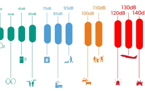 Onde sonore colorées traversant une oreille, montrant le chemin vers la cochlée. Un exemple de 100 dB.