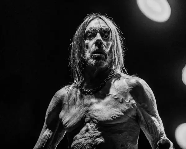 Iggy Pop, le parrain du punk, torse nu et chaîné, sous les feux de la rampe. Un portrait saisissant du groupe Iggy Pop.