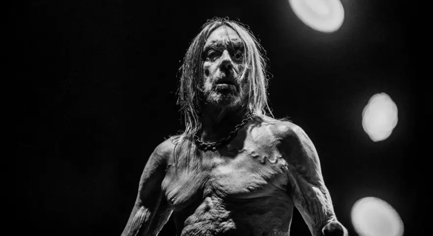 Iggy Pop, le parrain du punk, torse nu et chaîné, sous les feux de la rampe. Un portrait saisissant du groupe Iggy Pop.