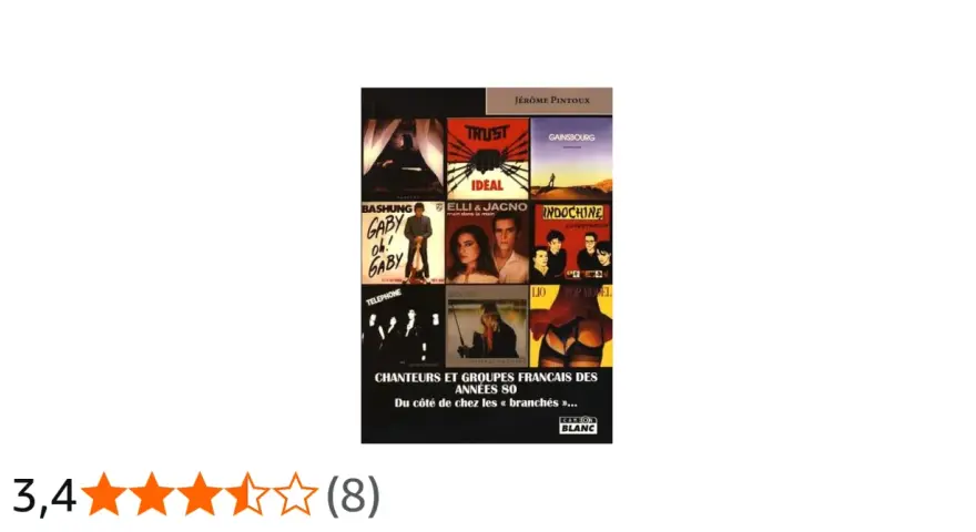 Couverture d'un livre sur les chanteurs et groupes français des années 70 et 80, avec des visuels d'artistes comme Indochine, Gainsbourg, et Renaud.