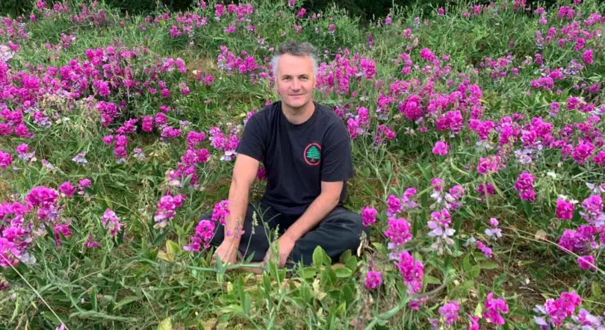 Un homme est assis au milieu d'un champ de fleurs roses et violettes, avec des arbres en arrière-plan. Il semble se trouver sur le mont Eerie.