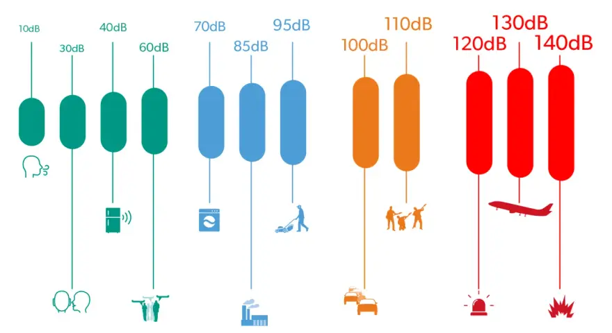 Onde sonore colorées traversant une oreille, montrant le chemin vers la cochlée. Un exemple de 100 dB.