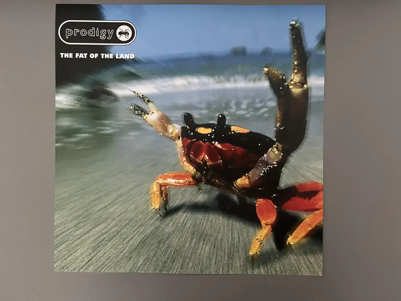 Pochette de l'album 